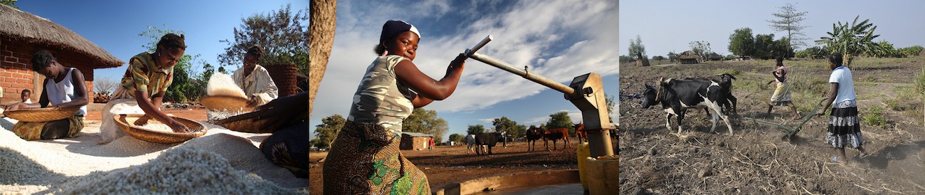 Agriculture in Mozambique